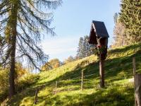 Waldbach Reingruber Kreuz