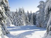 Winterlandschaft